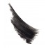Тушь удлиняющая Jane Iredale PureLash® Lengthening Mascara Jet Black 7г
